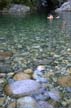 People Swiming At Sasamat Lake, Canada Stock Photos