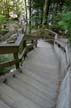 Lynn Valley Park, Canada Stock Photos