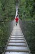 Lynn Canyon Suspension Bridge, Canada Stock Photographs