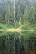 Cypress Mountain, Stock Photos