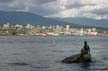 Stanley Park Mermaid, Canada Stock Photos