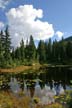 Cypress Mountain, Stock Photos