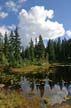 Cypress Mountain, Stock Photos