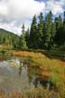 Cypress Mountain, Stock Photos