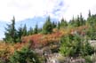 Cypress Mountain, Stock Photos