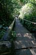 Lynn Canyon Park, Canada Stock Photos