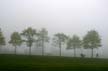 Foggy Day, Jericho Beach Park