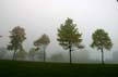 Foggy Day, Jericho Beach Park