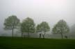 Foggy Day, Jericho Beach Park