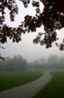 Park In Fog, Canada Stock Photos