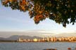 West End Skyline, Downtown Vancouver