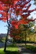 Fall Pictures, Vancouver Parks