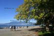 Fall, Kitsilano Beach