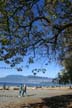 Fall, Kitsilano Beach