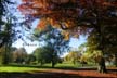 Fall Pictures, Vancouver Parks