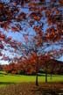 Fall Pictures, Vancouver Parks