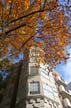 Autumn Leaves, Vancouver Nature