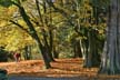 Fall, Canada Stock Photos