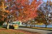 Fallّ, Canada Stock Photos