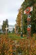 Totem Poles, Stanley Park