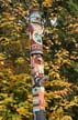 Totem Poles, Stanley Park