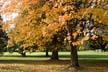 Vancouver Parks, Canada Stock Photos