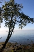 Vancouver English Bay, Canada Stock Photos