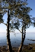 Vancouver English Bay, Canada Stock Photos