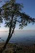 Vancouver English Bay, Canada Stock Photos