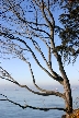 Vancouver English Bay, Canada Stock Photos