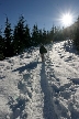 Cypresses Park, Canada Stock Photos