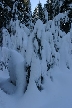 Cypresses Park, Canada Stock Photos