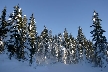 Cypresses Park, Canada Stock Photos