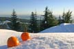 Mountain Winter, Canada Stock Photos