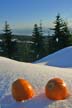 Mountain Winter, Canada Stock Photos