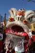 Cultural Festivals, Plaza Of Nations