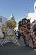 Chinese New Year, Canada Stock Photos