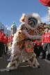 Chinese New Year, Canada Stock Photos