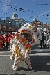 Chinese New Year, Canada Stock Photographs