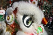 Chinese New Year, Canada Stock Photos