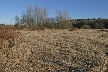 Burnaby Lake, Canada Stock Photos