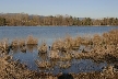 Burnaby Lake, Canada Stock Photos