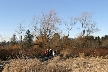 Burnaby Lake, Canada Stock Photos