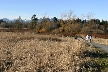 Burnaby Lake, Canada Stock Photos