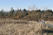 Burnaby Lake, Canada Stock Photos