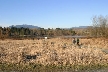 Burnaby Lake, Canada Stock Photos