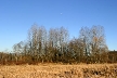 Burnaby Lake, Canada Stock Photos