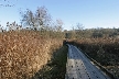 Burnaby Lake, Canada Stock Photos