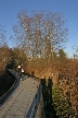 Burnaby Lake, Canada Stock Photos