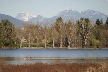 Burnaby Lake, Canada Stock Photos